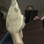 HFW - Goddess La CremeБ S Dangling Mules Finale – shoe fetish clip preview with La Creme