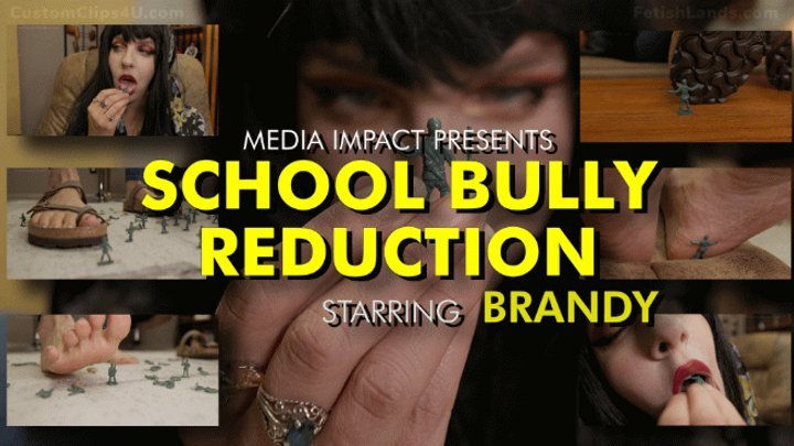 School Bully Reduction HD clip preview