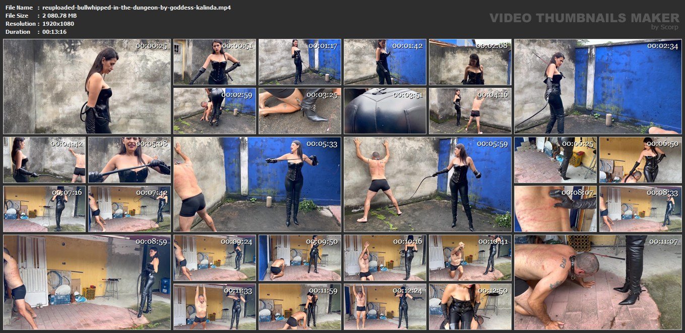 REUPLOADED Bullwhipped in the Dungeon by Goddess Kalinda - screenshots